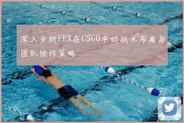 深入分析FPX在CSGO中的战术布局与团队协作策略