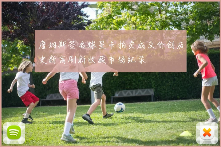 詹姆斯签名球星卡拍卖成交价创历史新高刷新收藏市场纪录