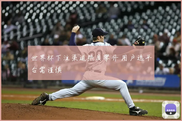 世界杯下注渠道热度攀升 用户选平台需谨慎