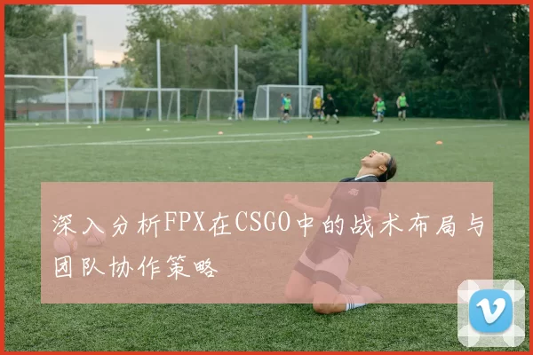 深入分析FPX在CSGO中的战术布局与团队协作策略