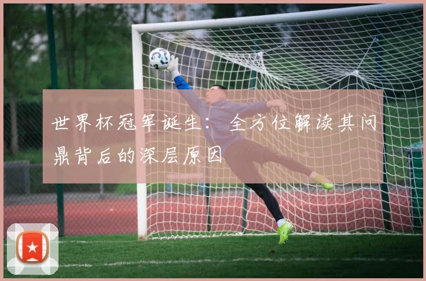 世界杯冠军诞生：全方位解读其问鼎背后的深层原因