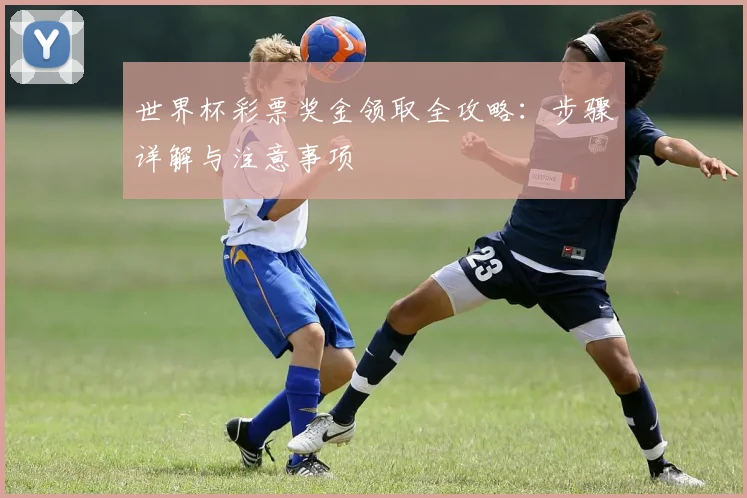世界杯彩票奖金领取全攻略:步骤详解与注意事项