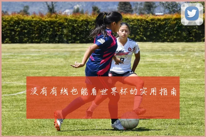没有有线也能看世界杯的实用指南