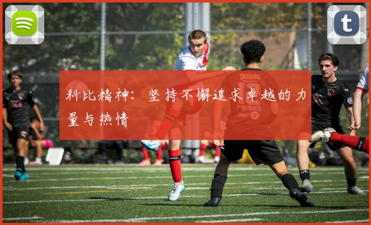 科比精神：坚持不懈追求卓越的力量与热情