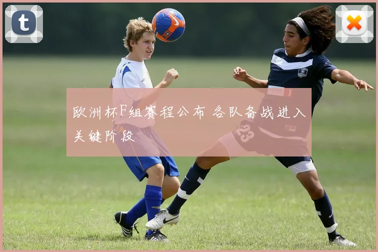 欧洲杯F组赛程公布 各队备战进入关键阶段