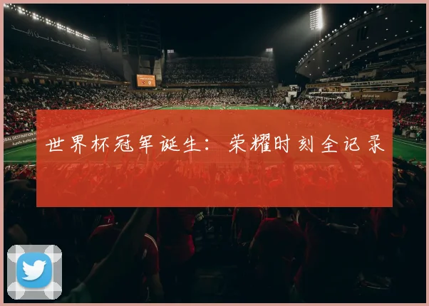 世界杯冠军诞生:荣耀时刻全记录