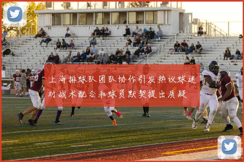 上海排球队团队协作引发热议球迷对战术配合和球员默契提出质疑
